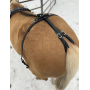 Skijoring Harness - Standard_3